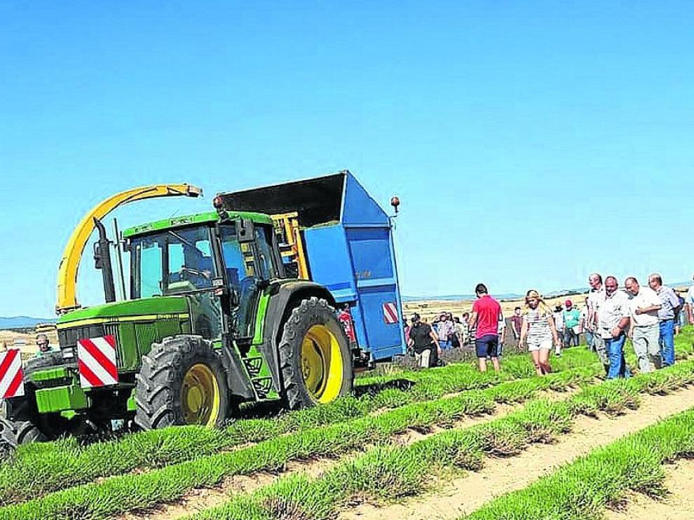 Los agricultores conocieron los cultivos de aromáticas de la Fundación Térvalis, en la foto.