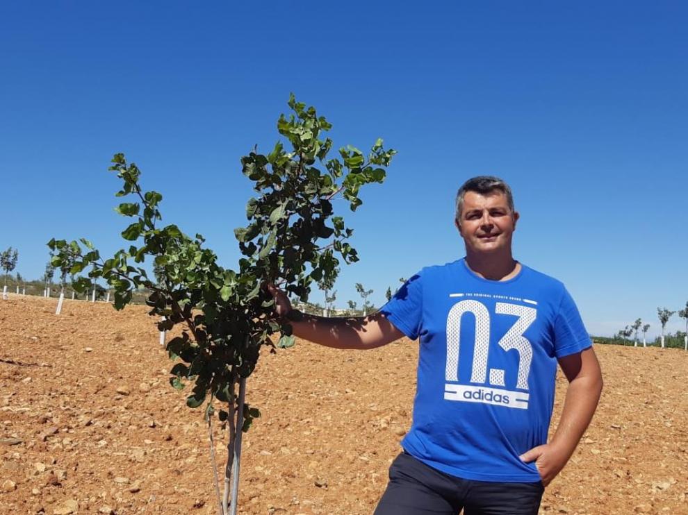 Alejandro Bribián, en su plantación de pistachos, en Cariñena.