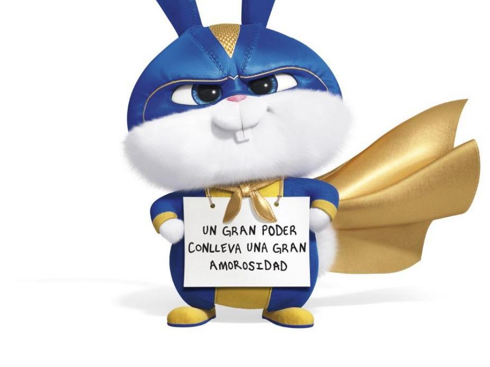 Mascotas 2