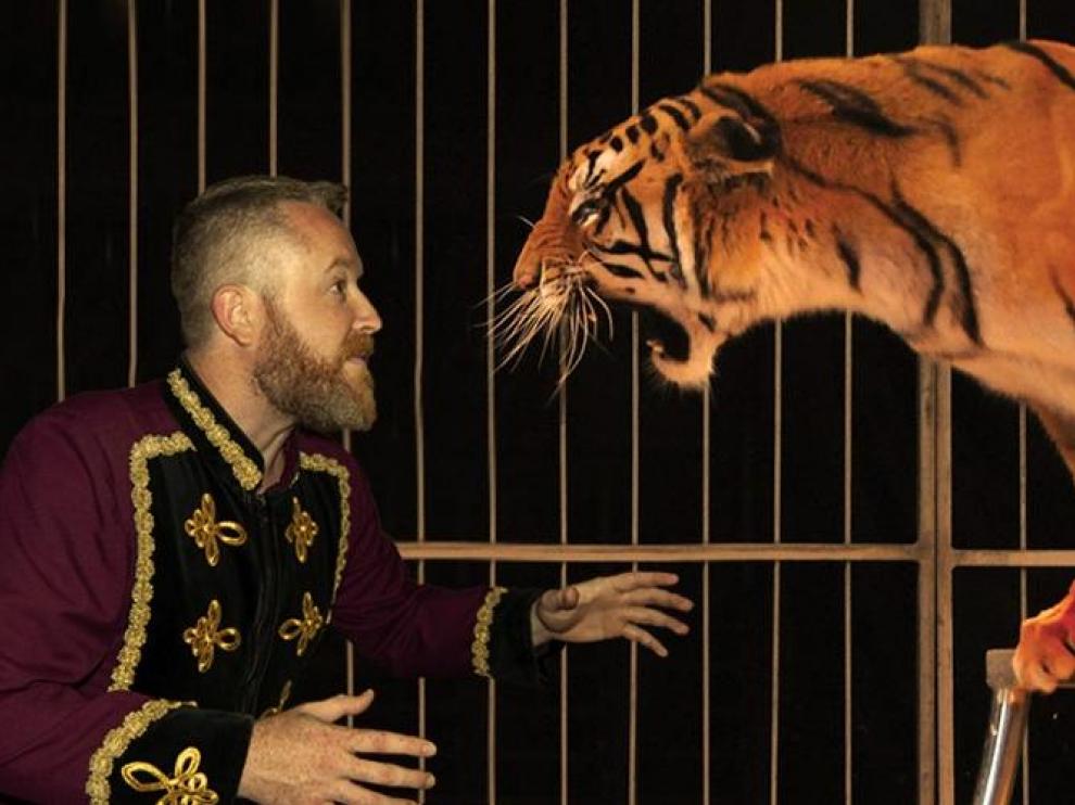 Imagen promocional del espectáculo Zoorprendente, el circo de los animales.