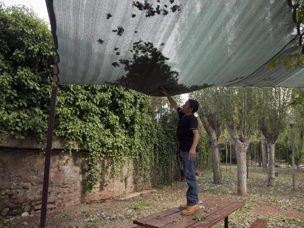 Daños que provocó la tormenta de granizo que cayó el lunes por la tarde en Illueca.