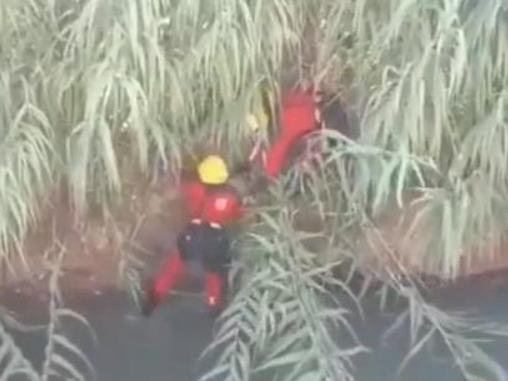 Los bomberos rescatan a un perro de raza American Staffordshire.