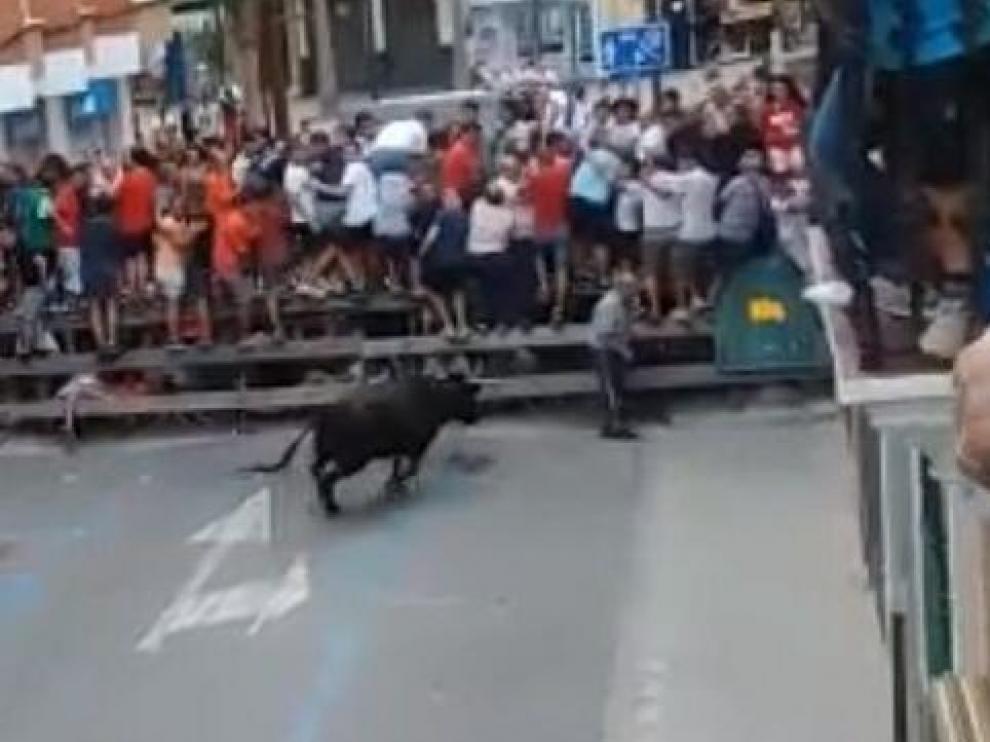 La vaquilla, instantes antes de embestir al fallecido.