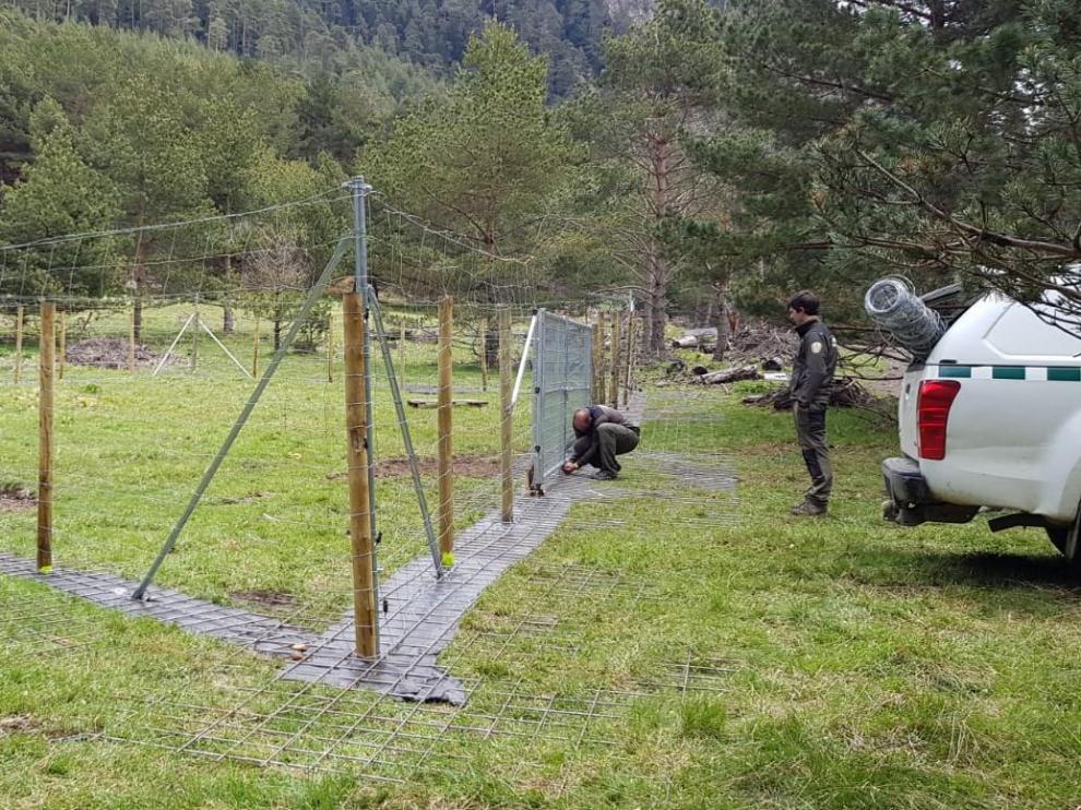 Vallado electrificado de protección para un colmenar del Valle de Arán.