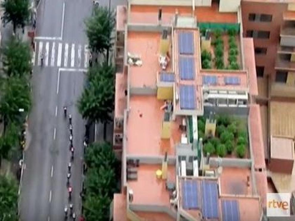 Imagen de las plantas de marihuana mostradas en la retransmisión de la vuelta a España