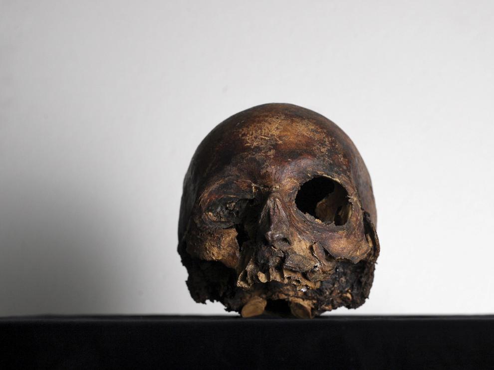 El cráneo del Papa Luna, que fue robado en el Palacio de Argillo de Sabiñán en el año 2000, está depositado en el Museo Provincial de Zaragoza.