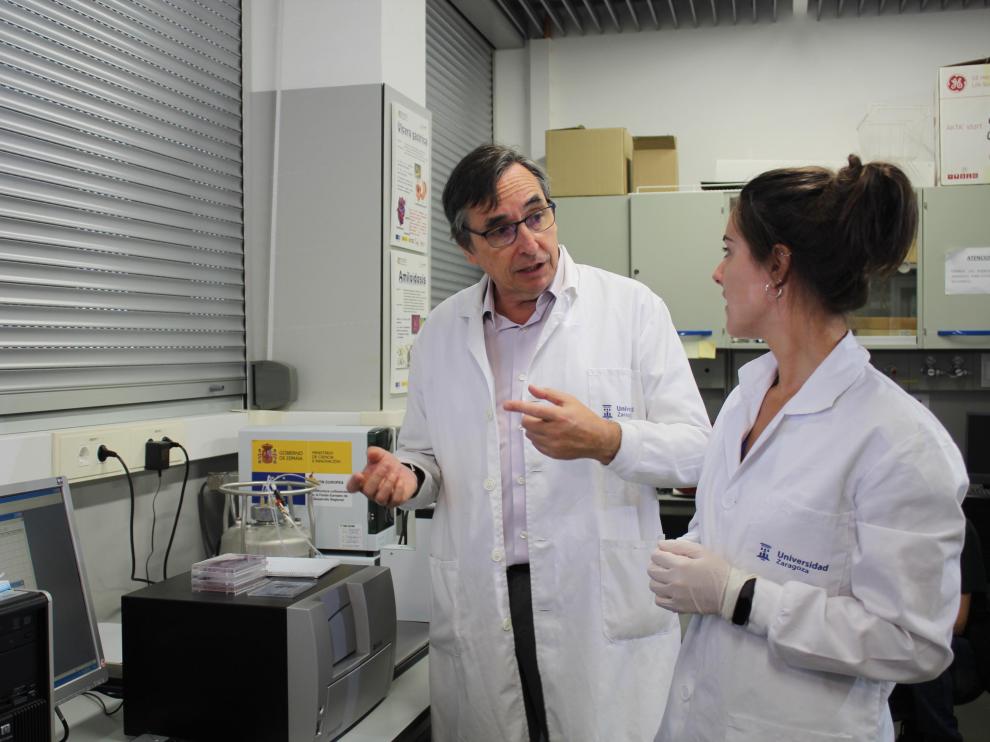 Javier Sancho, catedrático de la UZ, coordina un proyecto de investigación internacional para desarrollar antimicrobianos contra la bacteria 'Helicobacter pylori'.