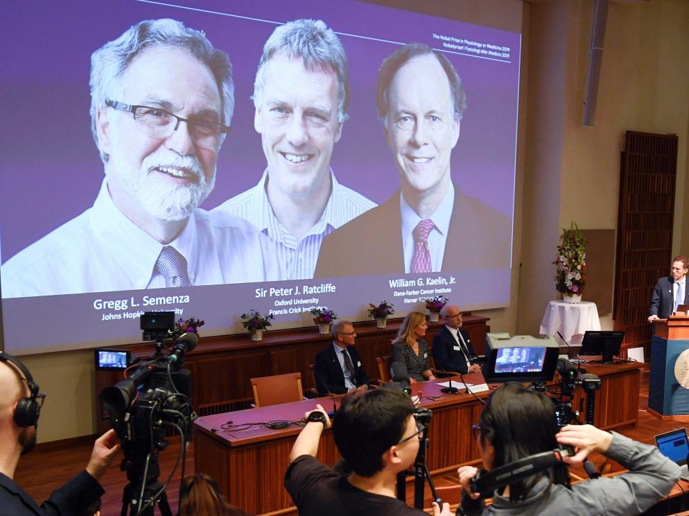 Ceremonia en la que se ha anunciado a William G. Kaelin, Gregg L. Semenza y Peter J. Ratcliffe como ganadores del premio Nobel de Medicina 2019