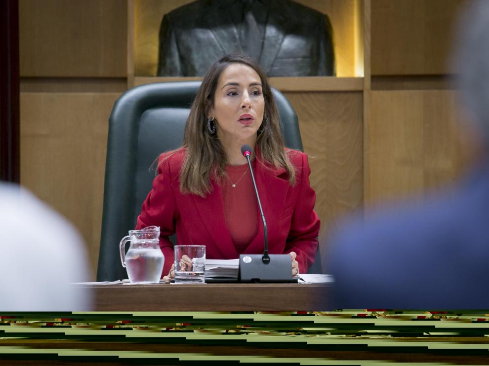 María Navarro, en la comisión de Hacienda del pasado mes de septiembre.