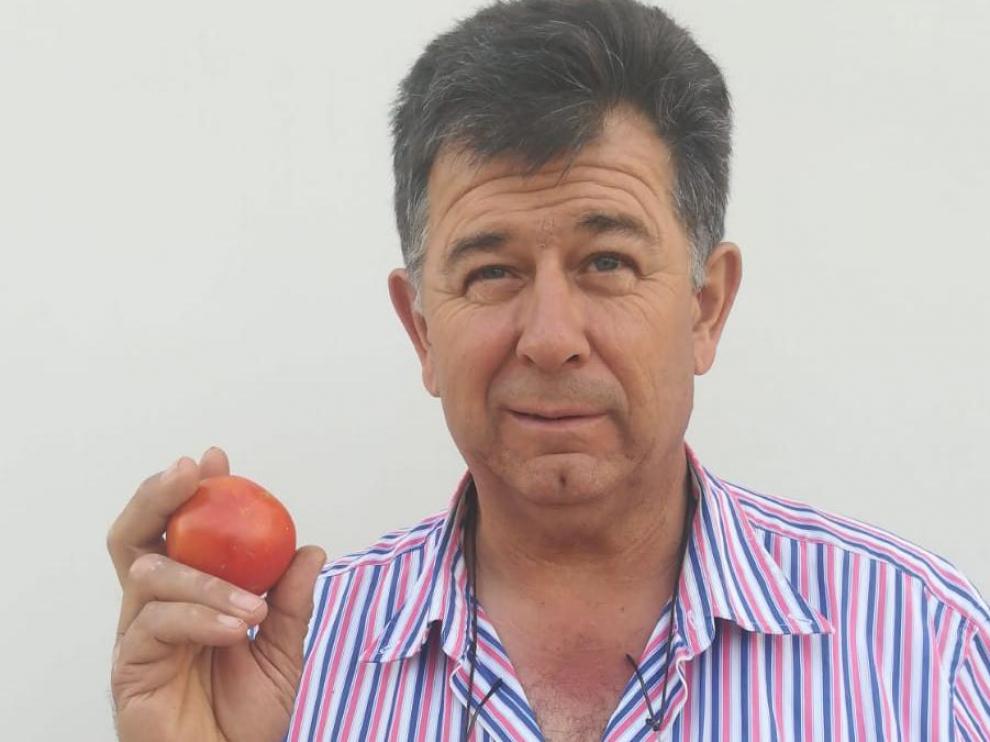 Carlos Gil muestra un ejemplar de tomate zaragozano en su mano derecha frente a una variedad más comercial, en la izquierda.