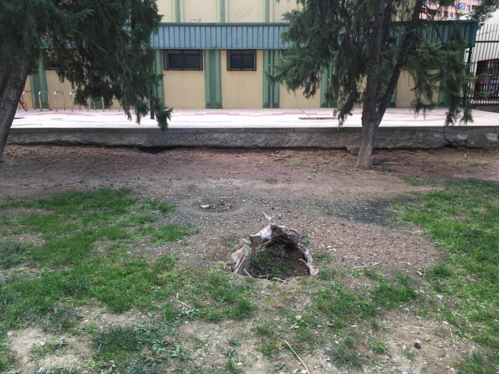 Estado del parque de Valmaseda, en La Jota.