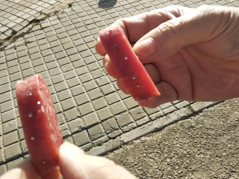 Denuncian la aparición de cebos con alfileres en La Jota de Zaragoza