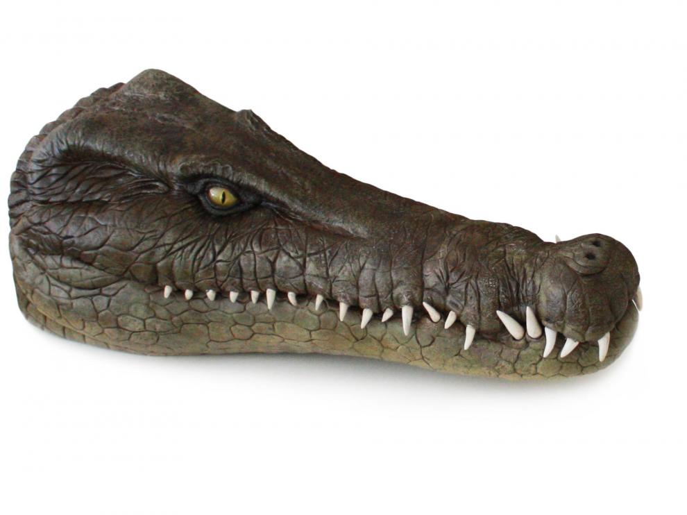 Reconstrucción del cráneo de la nueva especie de cocodrilo fósil.