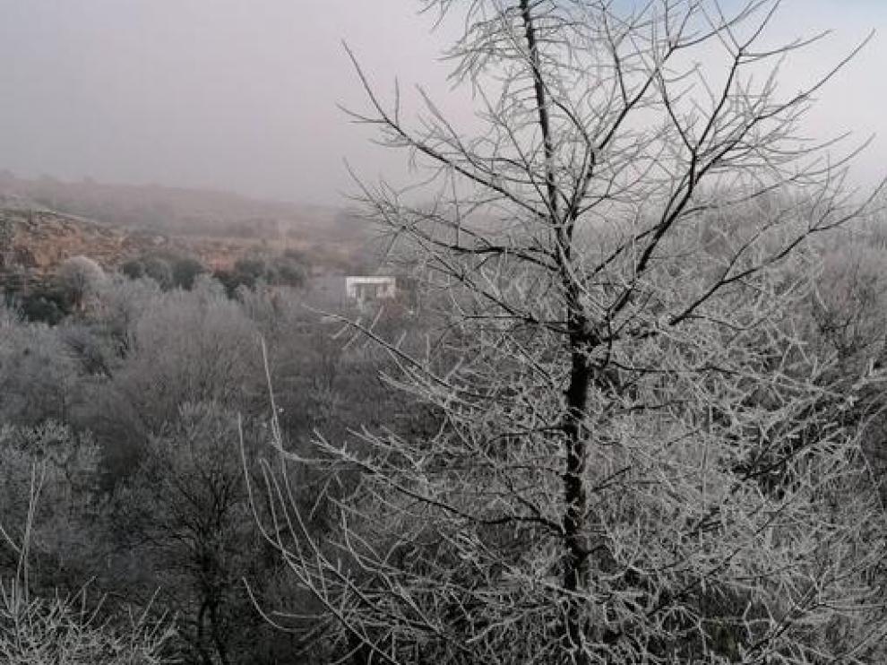 Niebla engelante este lunes en Alcañiz.