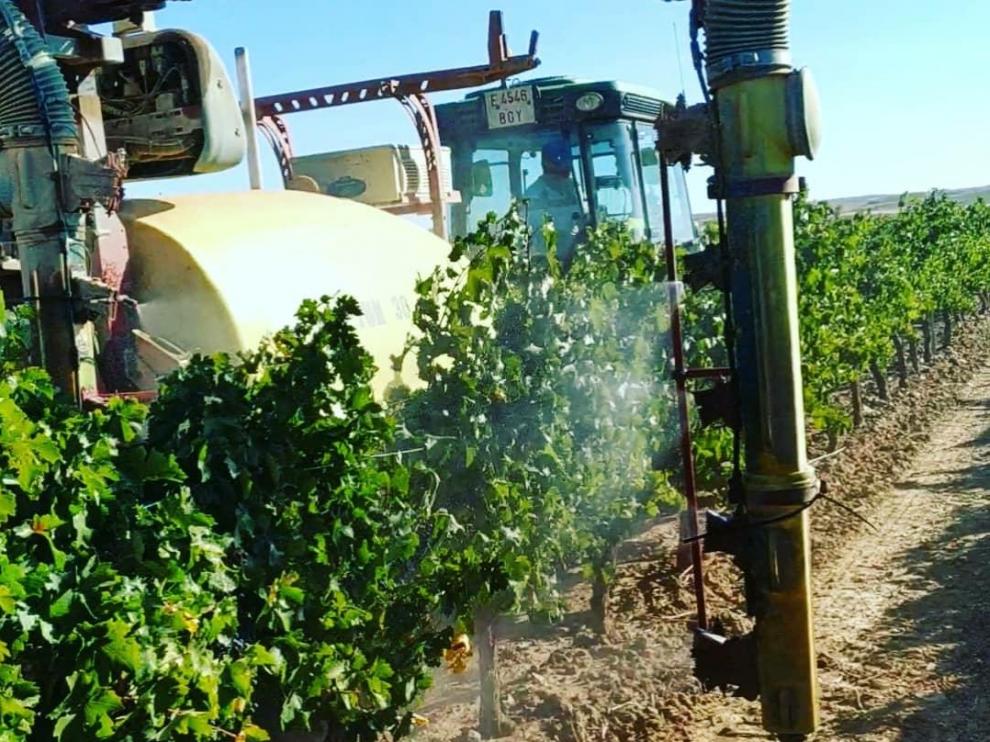 Una máquina, durante la pulverización de ozono en las viñas.
