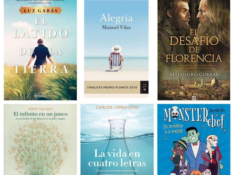 Los libros más vendidos de Zaragoza en 2019.