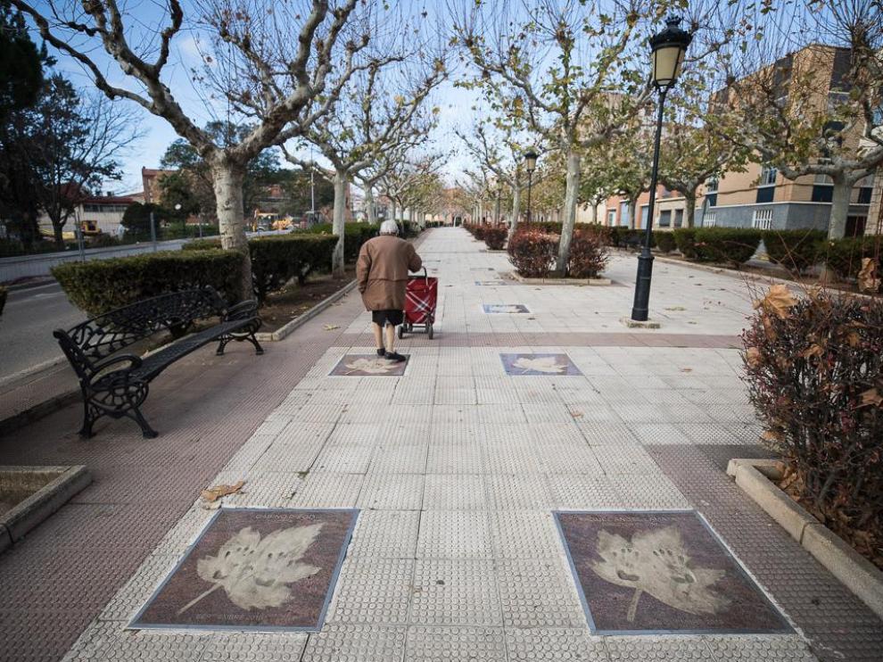 Foto de Cariñena