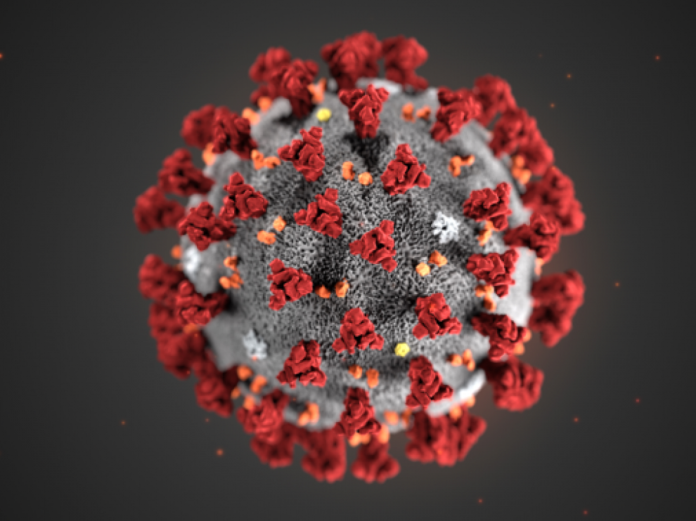 Ilustración del coronavirus 2019-nCoV creada en los Centros para el Control y la Prevención de Enfermedades (CDC).