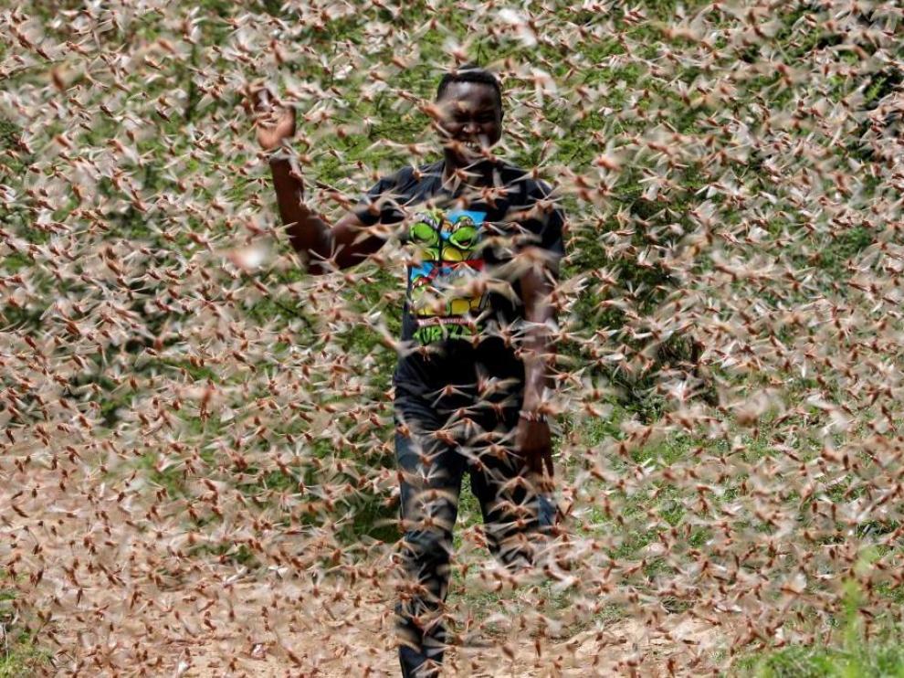 Un hombre, en medio de una nube de langostas en Kenia.