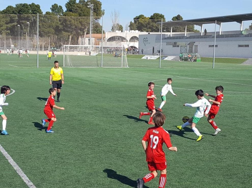 Fútbol. Benjamín Preferente- El Olivar vs. Amistad.