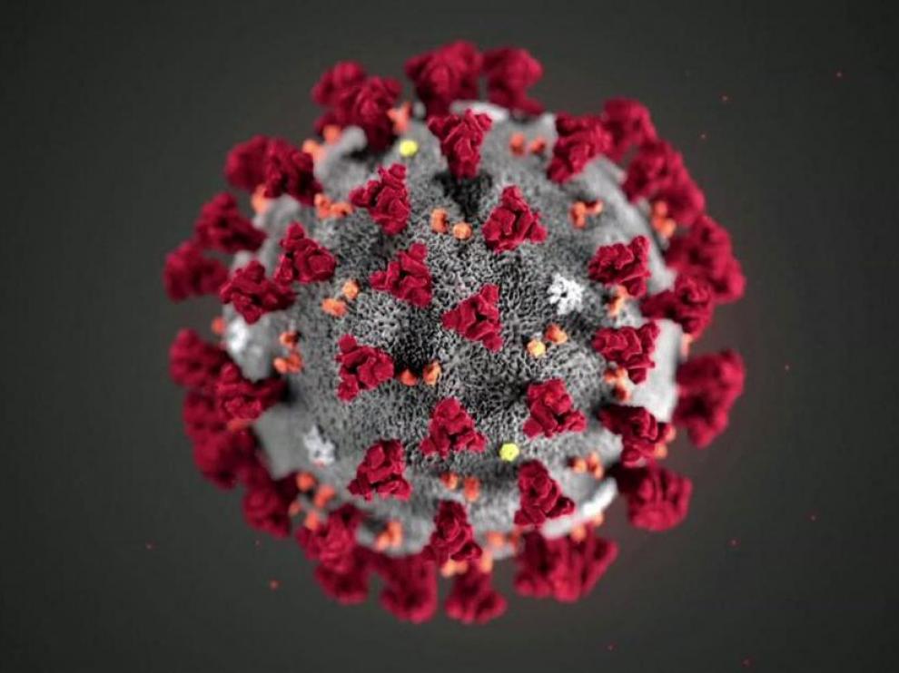 El nuevo coronavirus SARS-CoV-2, causante de la enfermedad Covid-19.