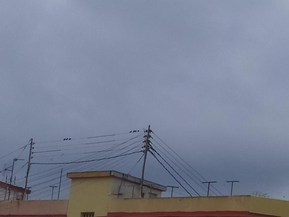 Son muchos las aves que se dejan ver ahora que hay una menor afluencia de personas.