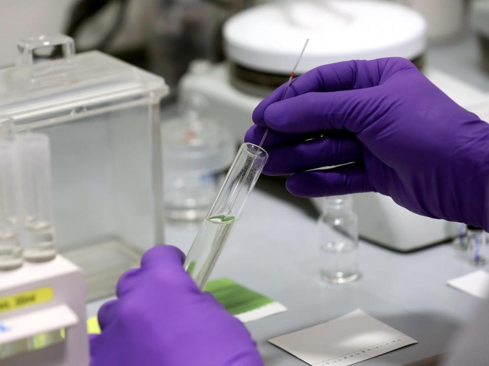 Trabajo en el laboratorio de la empresa española Pharma Mar.