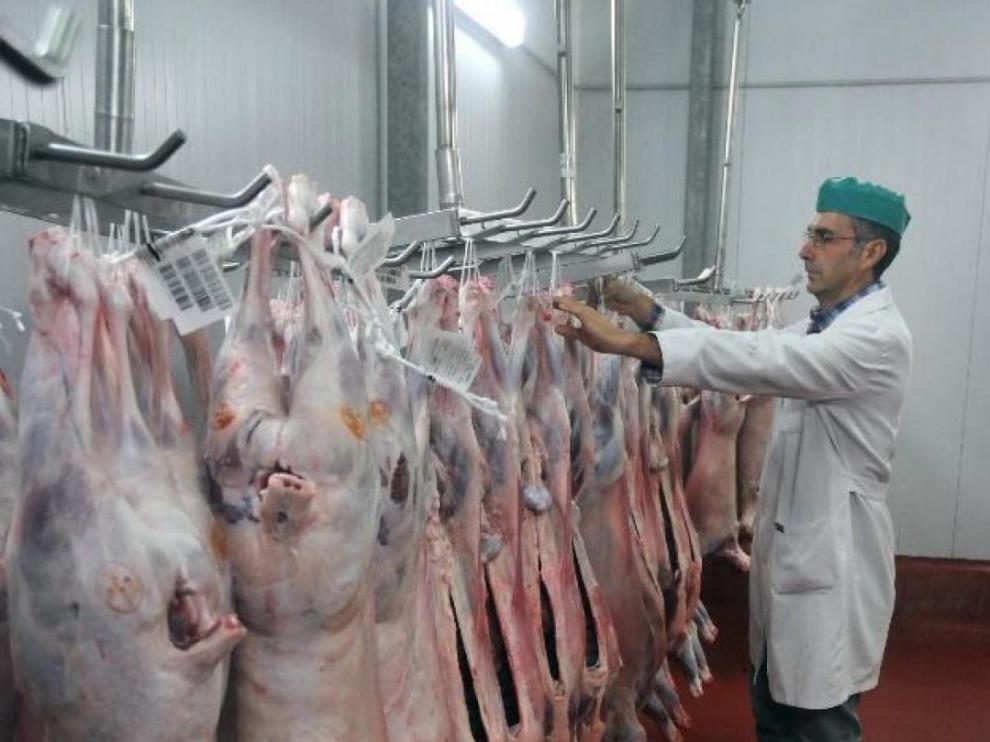 Dos residencias de Calatayud reciben carne de cordero de ganaderos solidarios.