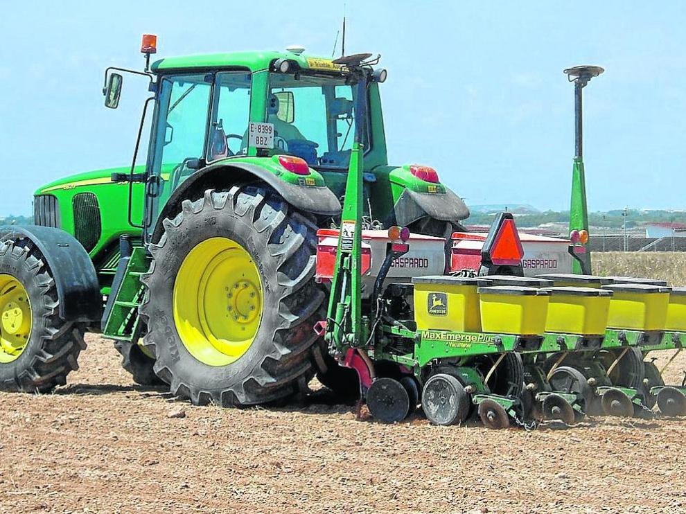 Un agricultor realiza las labores de siembra del maíz en una explotación aragonesa.
