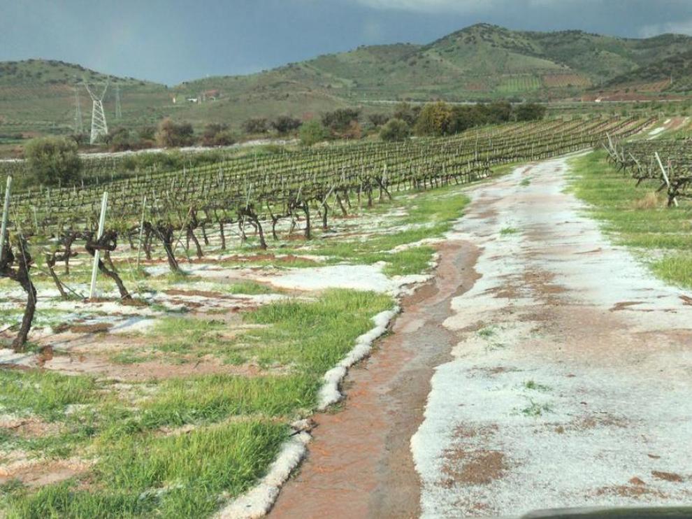Fuerte granizada en fincas de cultivos de la zona de El Frasno