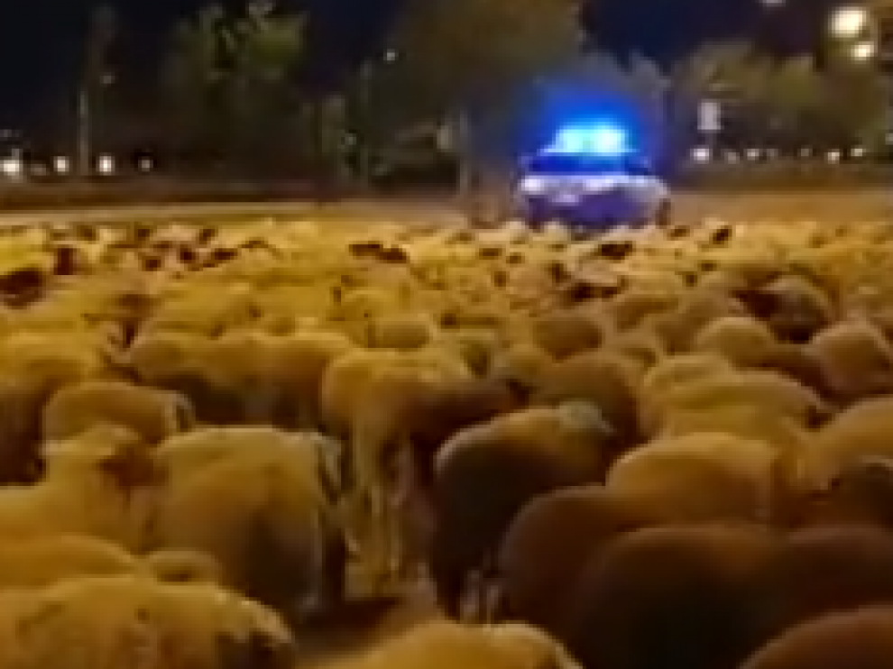 Fotograma del vídeo colgado por la Policía Local en Twitter