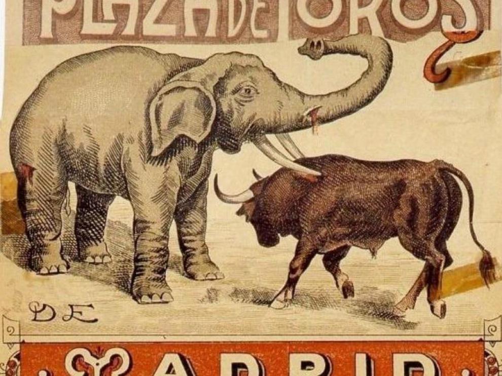 Elefante y toro