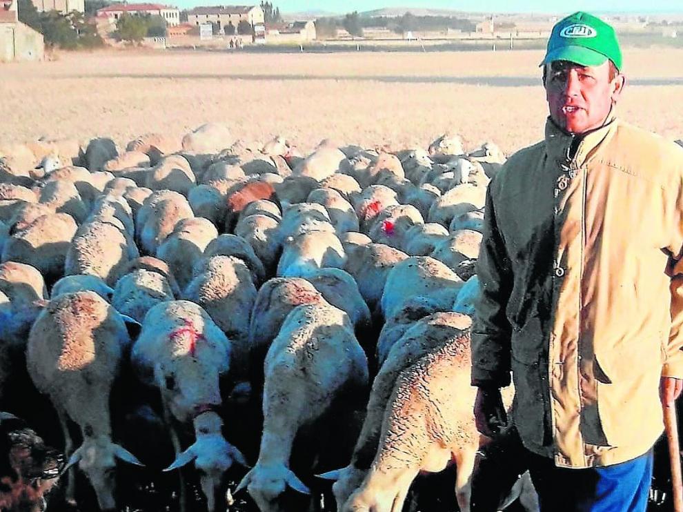 Amado Lizama, junto a su rebaño de ovejas en la localidad turolense de Bello.