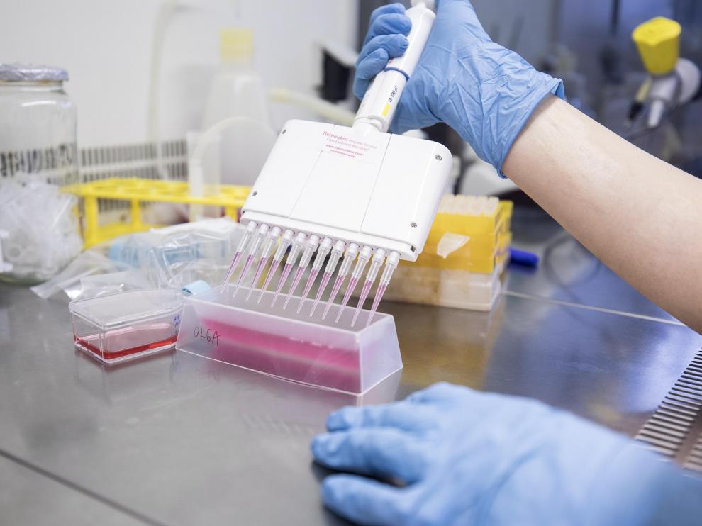 Trabajo de laboratorio en la Universidad de Zaragoza