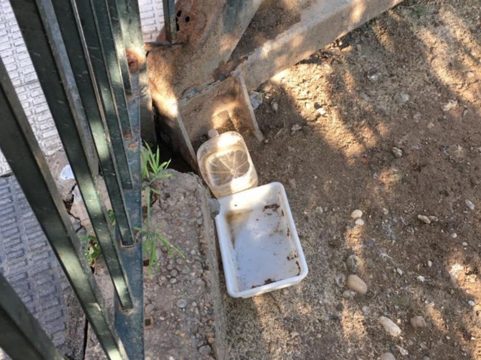 Ratas en la zona del Huerva.