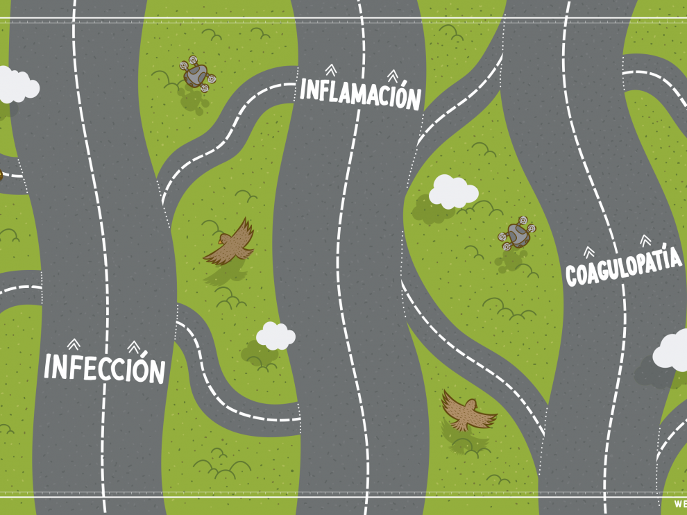 Emprendemos un recorrido por las vías de ataque del SRAS-CoV-2.
