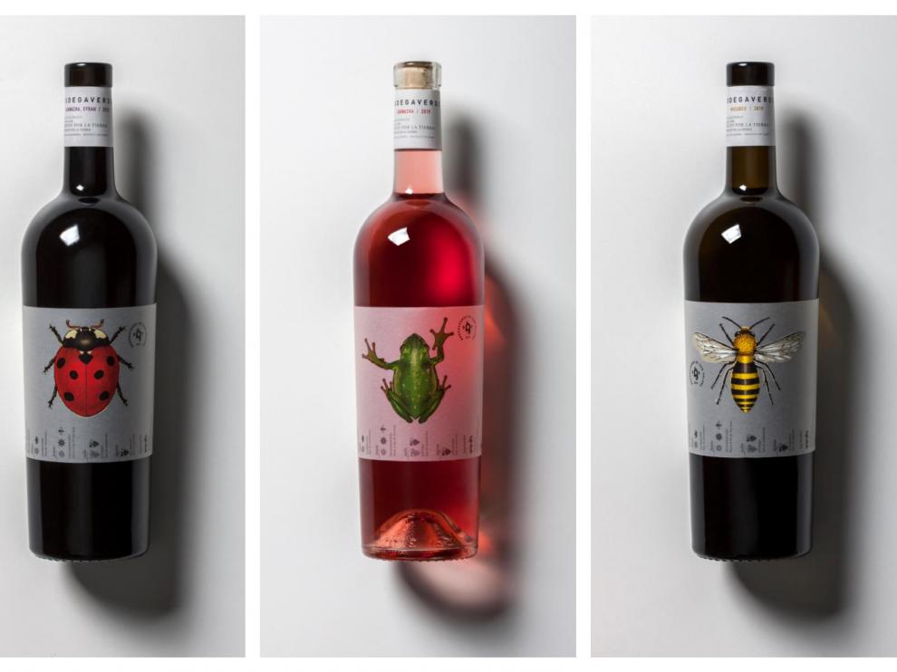 Estos son los primeros vinos jóvenes ecológicos de Bodega Verde San Valero: Garnacha & Syrah, Garnacha Rosé y Macabeo.