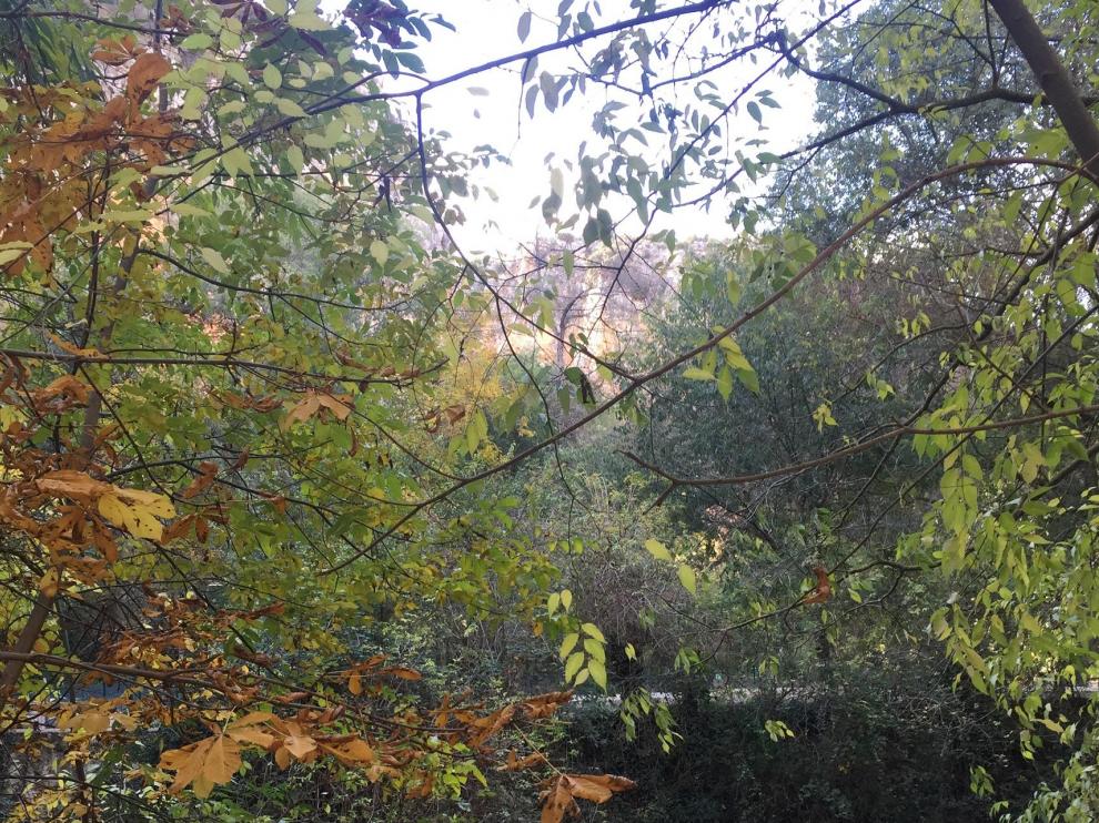Imagen del Monasterio de Piedra.