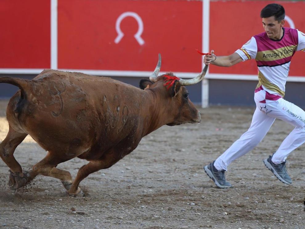 El recortador Sergio Rodríguez, en el concurso de anillas celebrado el año pasado en la plaza de Cariñena