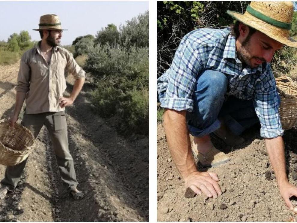 Adrián (a la izda) y Jaime Casanova están apostando por el cultivo del azafrán en Torrevelilla.