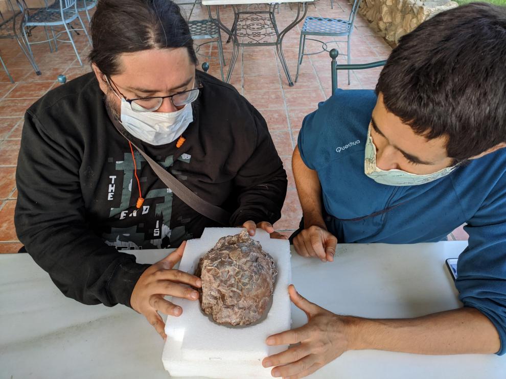 Imágenes de los paleontólogos y del nido de dinosaurio con los huevos.