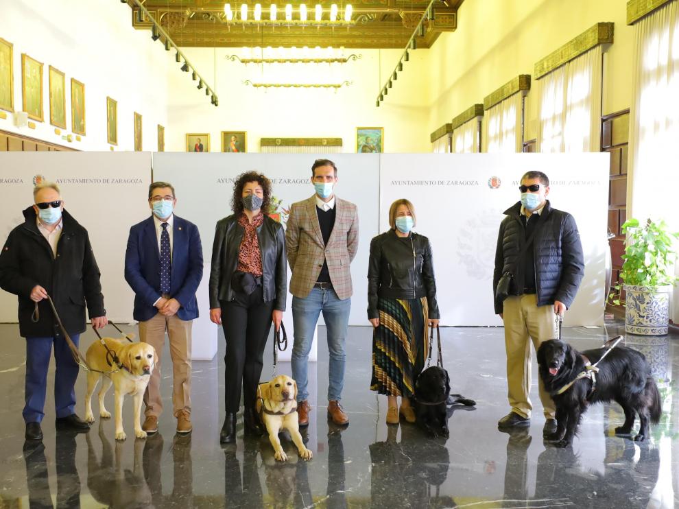 El Ayuntamiento de Zaragoza financiará el registro de ADN de todos los perros guía de la ciudad