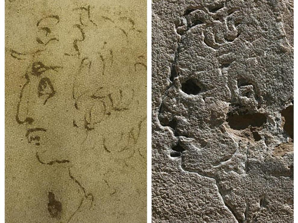 El dibujo de Miguel Ángel hallado en el Louvre, y el perfil del varón grabado en la fachada del palacio florentino.