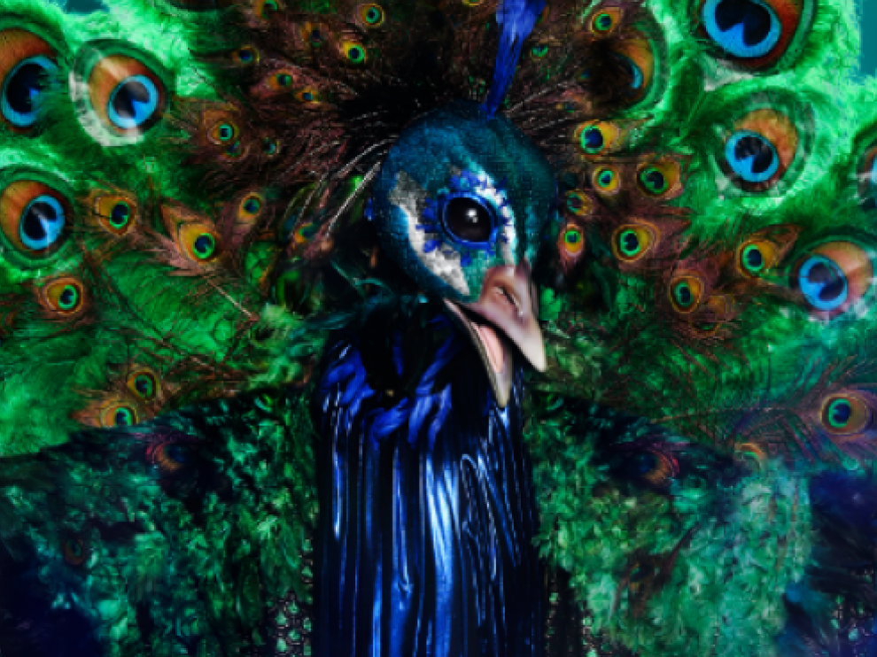 Pavo real, en Mask Singer.