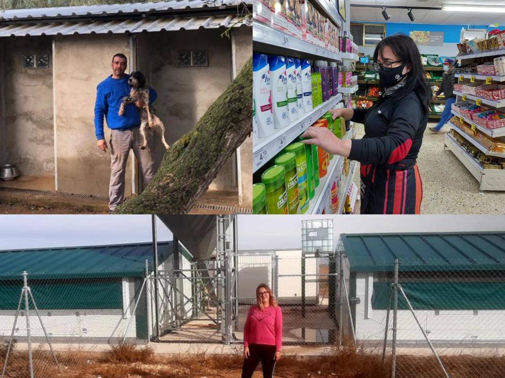 Arriba, a la derecha, Noelia Tello, y a la izquierda, David Bautista. Ababjo, Noelia Ibañez, en la granja de gallinas camperas que ha montado en Lécera.