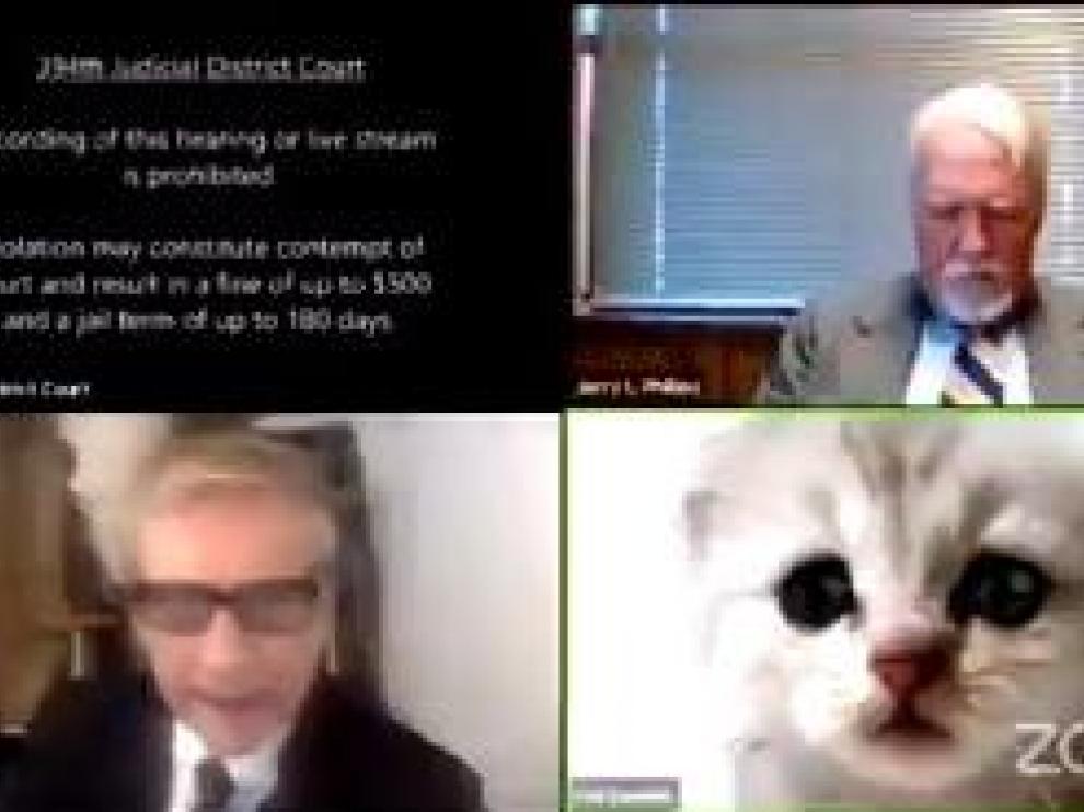 "No soy un gato": el hilarante juicio en el que Zoom juega una mala pasada a un abogado