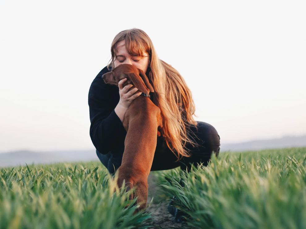 Un estudio desvela que algunos seres humanos muestran más empatía hacia los perros que hacia otras personas.
