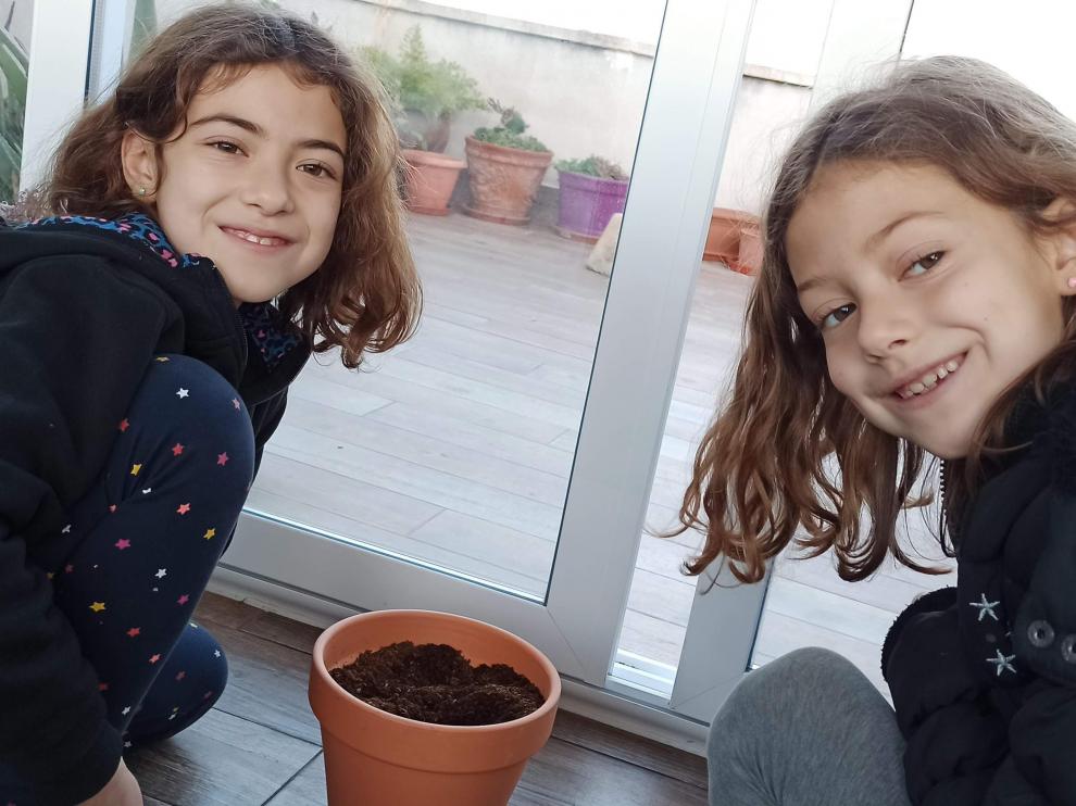 Alumnas de primaria del CEIP Sainz de Varanda, plantando bellotas en su casa.