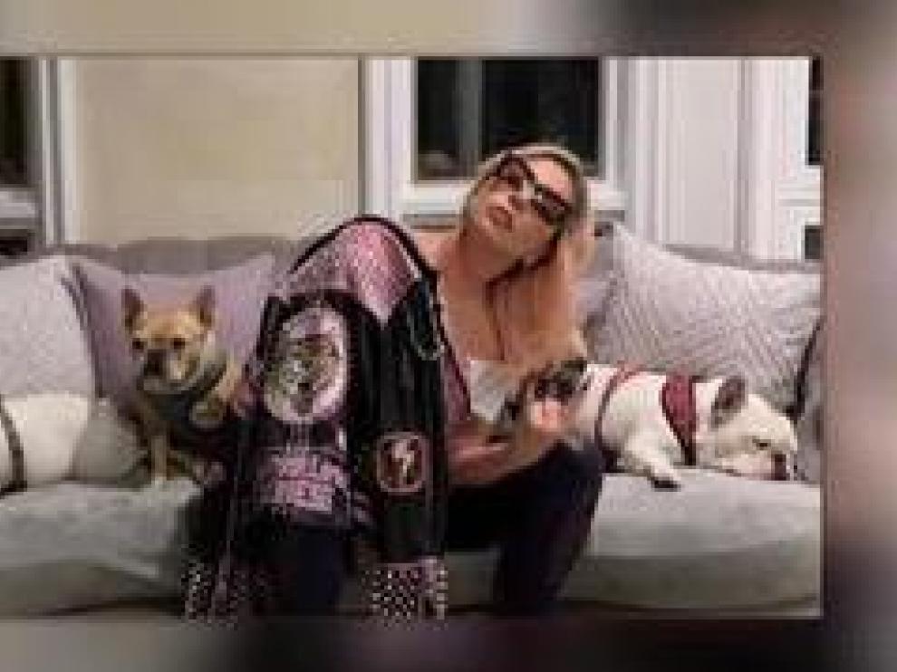 Lady Gaga ofrece una recompensa de 400.000 euros por sus perros