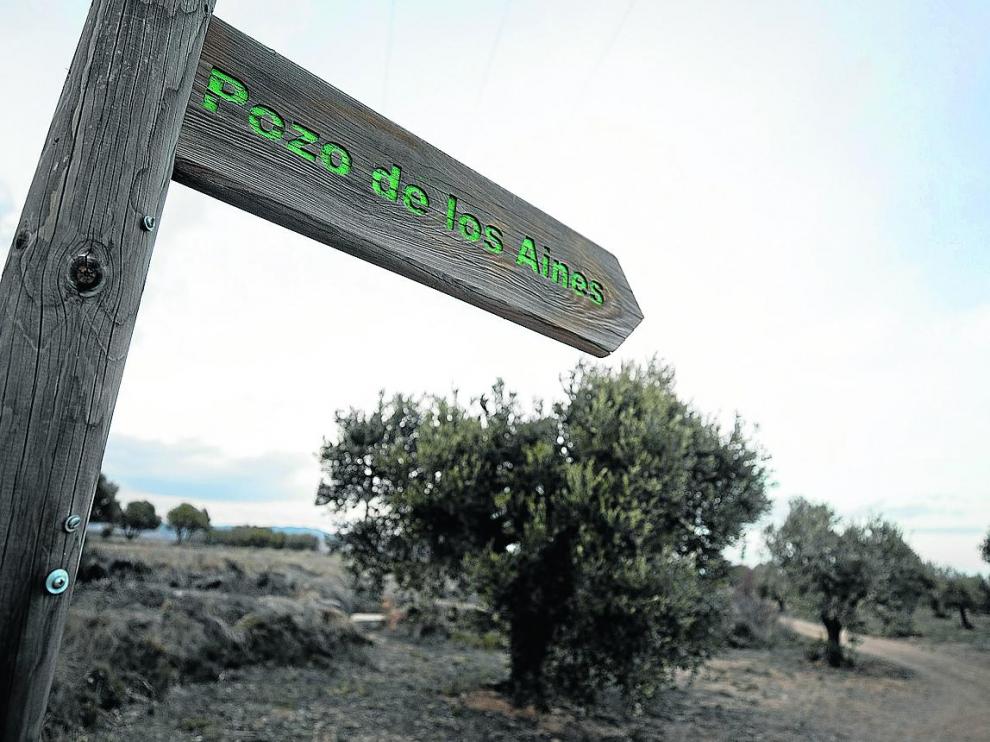 El Ayuntamiento cuenta con una finca de olivos en las inmediaciones del pozo de los Aines.